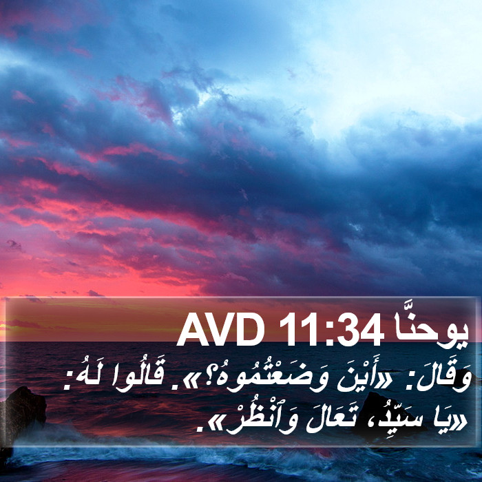 يوحنَّا 11:34 AVD Bible Study