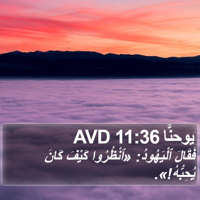 يوحنَّا 11:36 AVD Bible Study