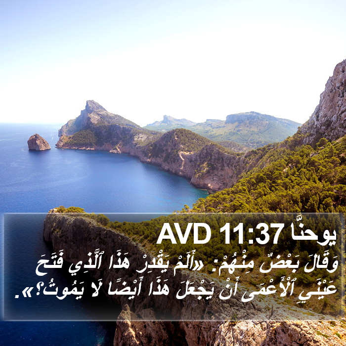 يوحنَّا 11:37 AVD Bible Study