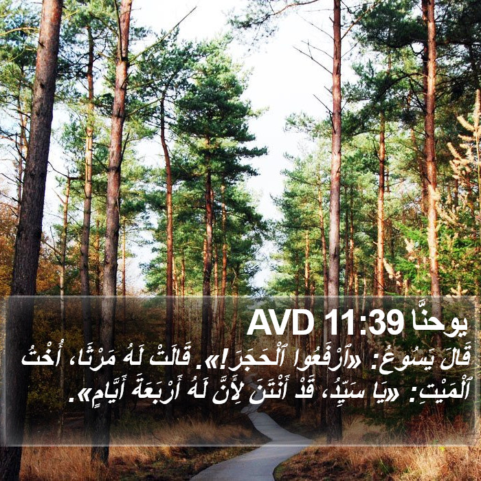 يوحنَّا 11:39 AVD Bible Study