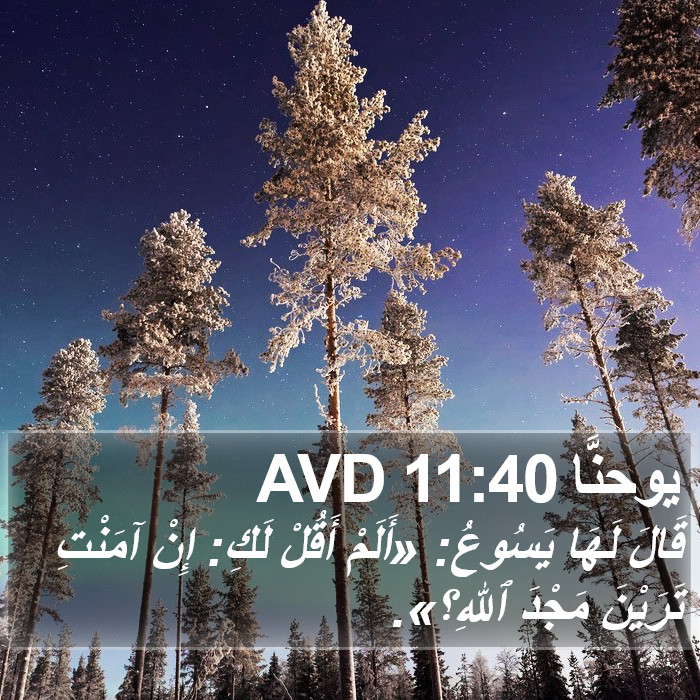 يوحنَّا 11:40 AVD Bible Study