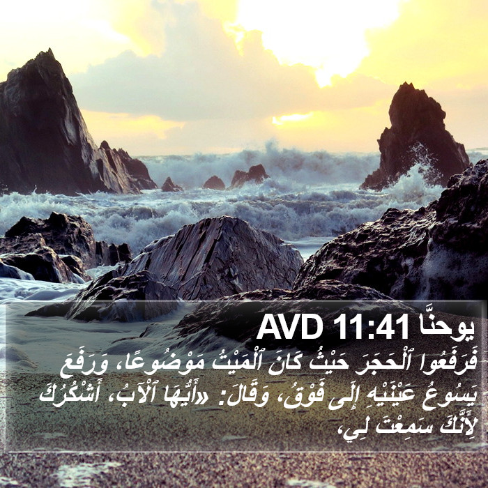 يوحنَّا 11:41 AVD Bible Study