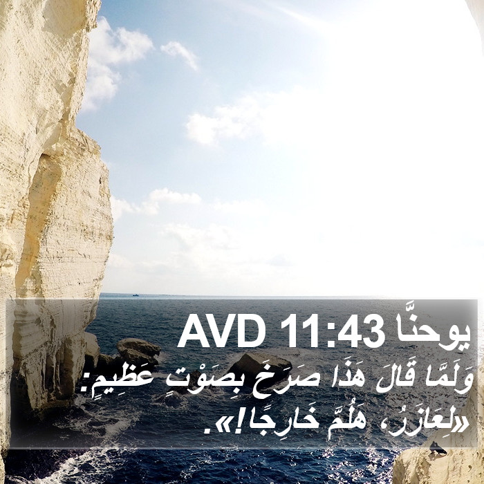 يوحنَّا 11:43 AVD Bible Study