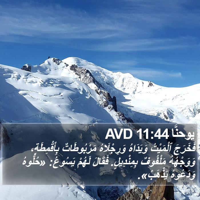 يوحنَّا 11:44 AVD Bible Study