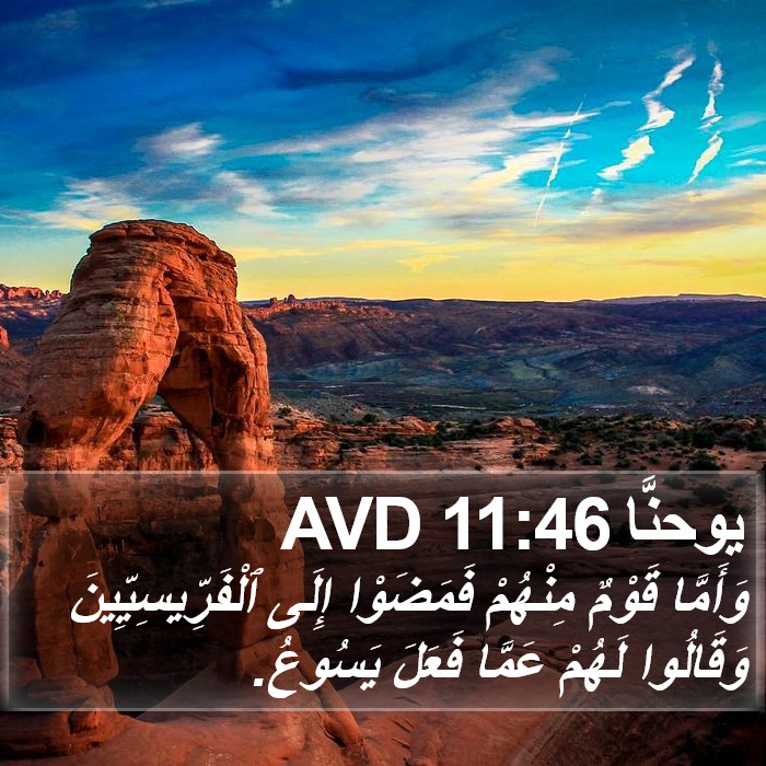 يوحنَّا 11:46 AVD Bible Study