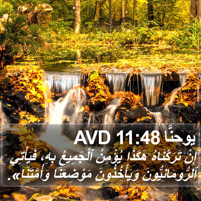 يوحنَّا 11:48 AVD Bible Study