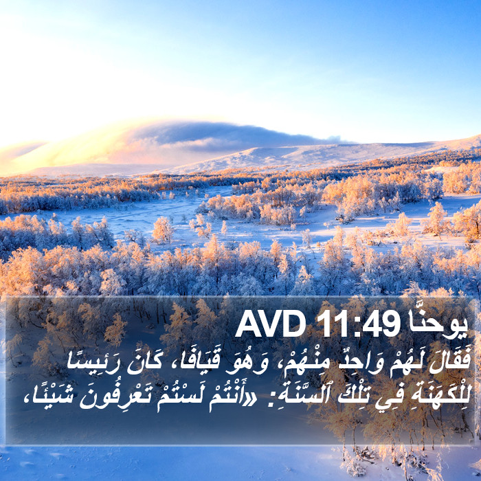 يوحنَّا 11:49 AVD Bible Study