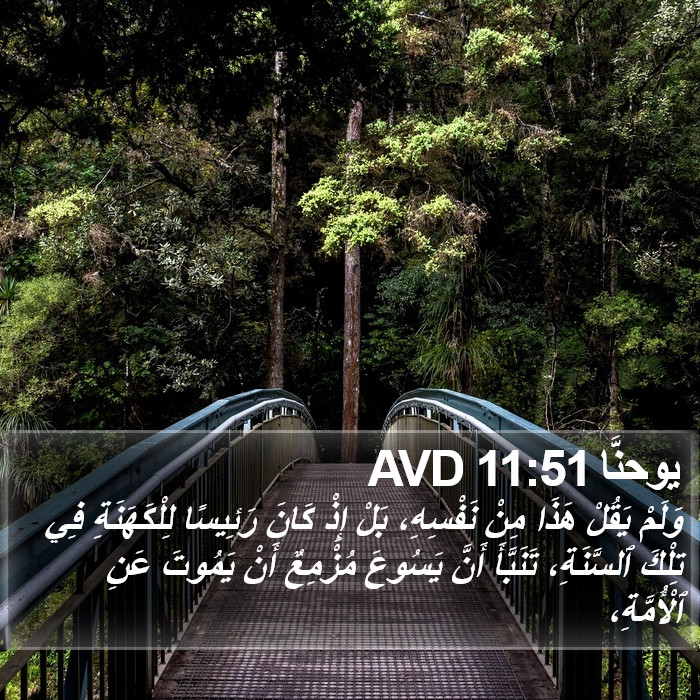 يوحنَّا 11:51 AVD Bible Study