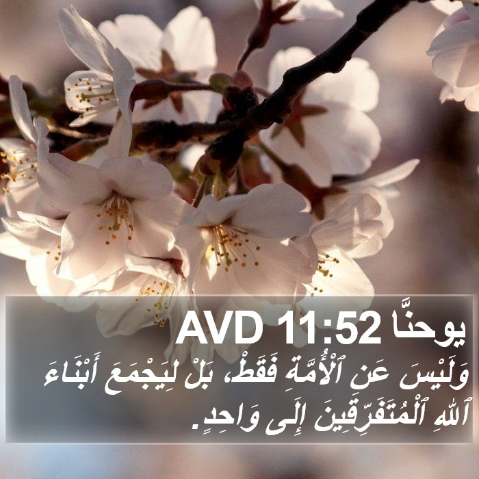 يوحنَّا 11:52 AVD Bible Study