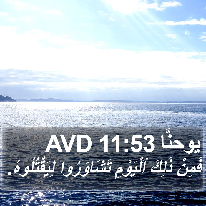 يوحنَّا 11:53 AVD Bible Study