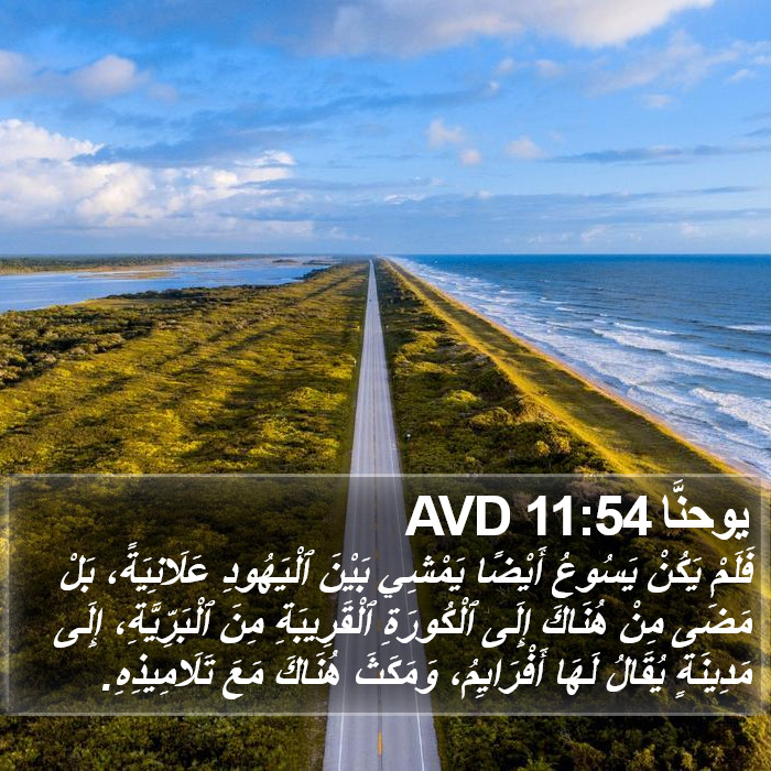 يوحنَّا 11:54 AVD Bible Study