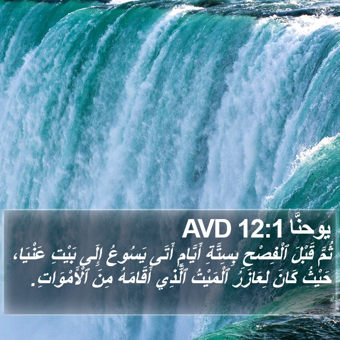 يوحنَّا 12:1 AVD Bible Study