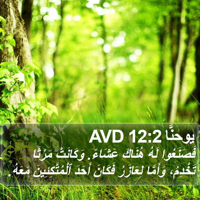يوحنَّا 12:2 AVD Bible Study