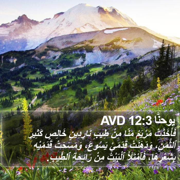يوحنَّا 12:3 AVD Bible Study