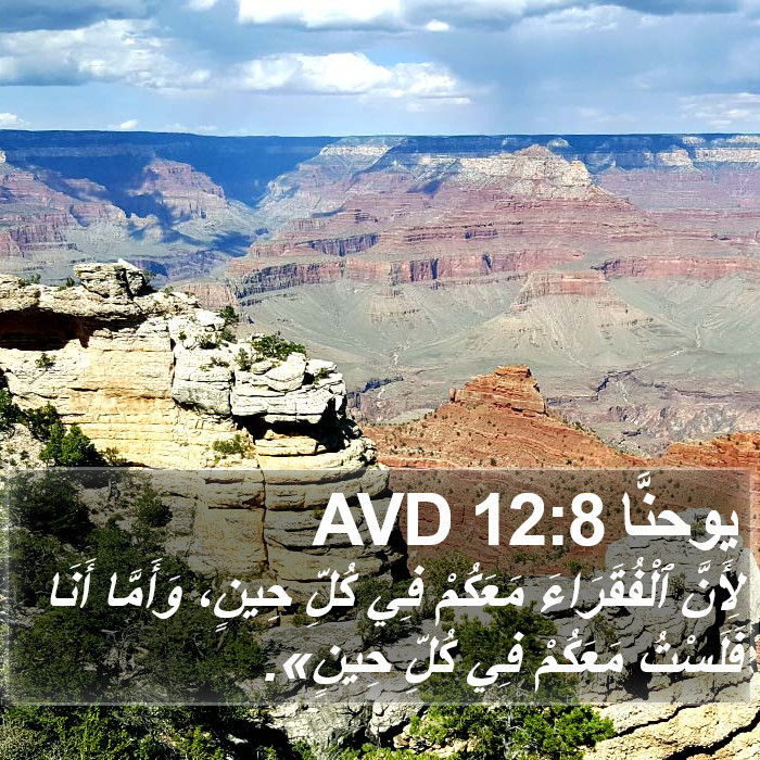 يوحنَّا 12:8 AVD Bible Study