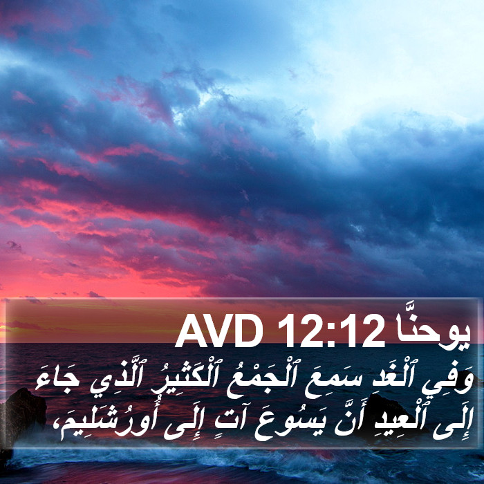 يوحنَّا 12:12 AVD Bible Study