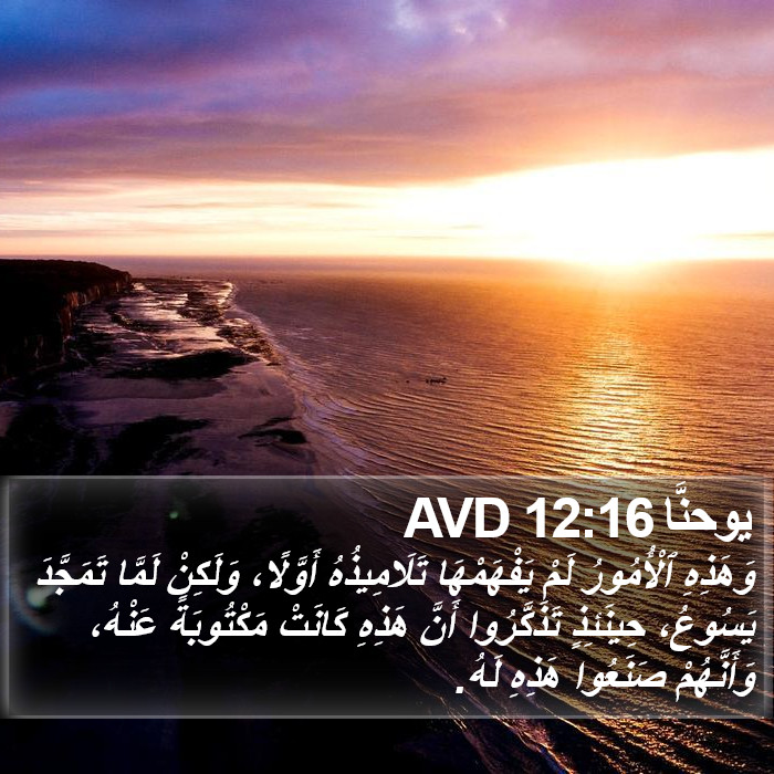 يوحنَّا 12:16 AVD Bible Study