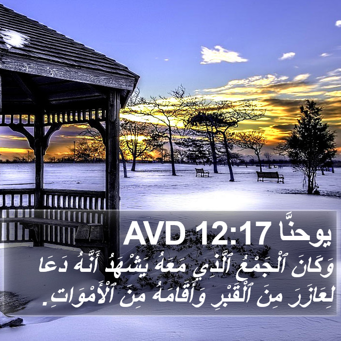 يوحنَّا 12:17 AVD Bible Study