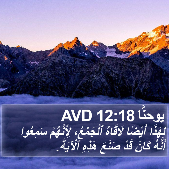 يوحنَّا 12:18 AVD Bible Study