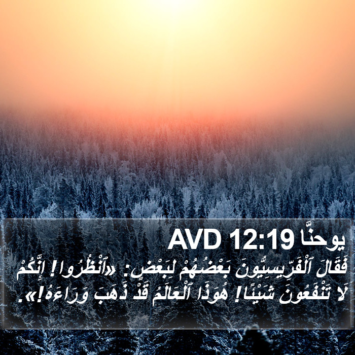 يوحنَّا 12:19 AVD Bible Study