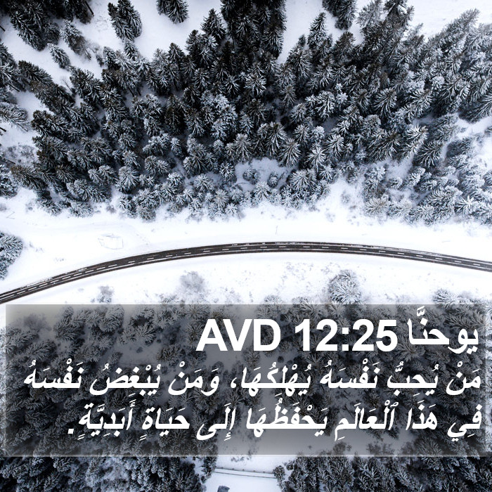 يوحنَّا 12:25 AVD Bible Study