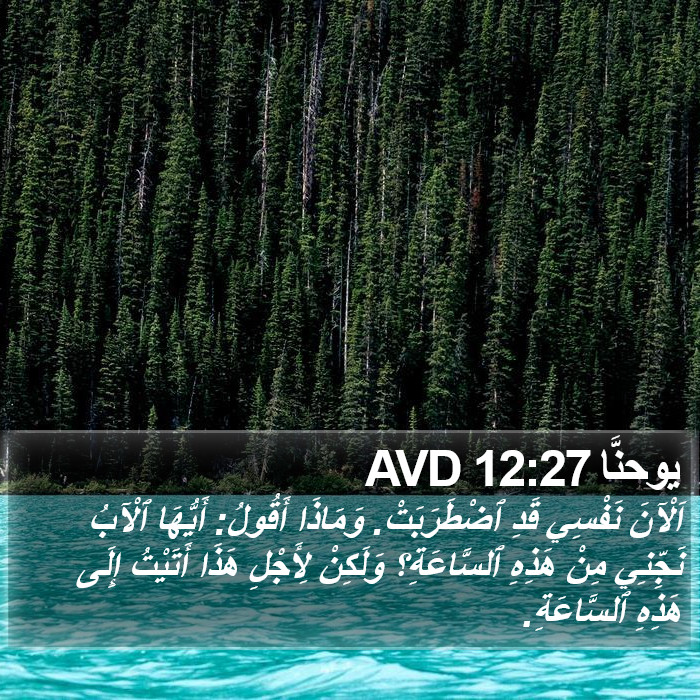 يوحنَّا 12:27 AVD Bible Study