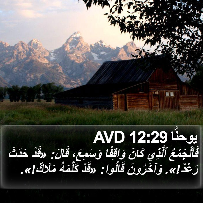 يوحنَّا 12:29 AVD Bible Study