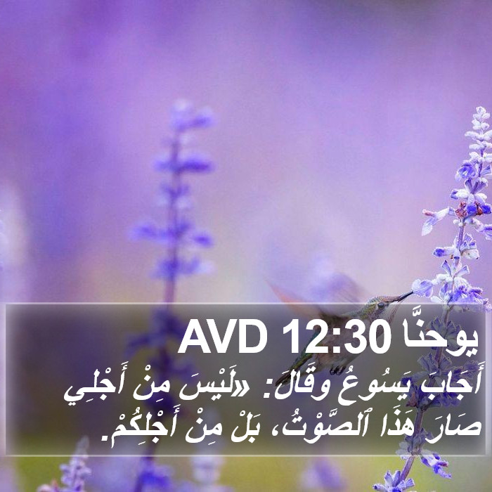 يوحنَّا 12:30 AVD Bible Study