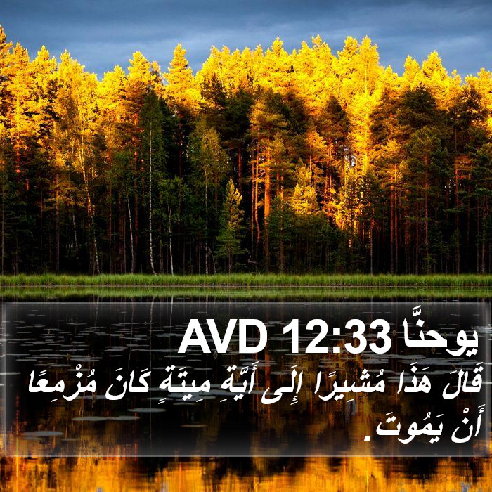 يوحنَّا 12:33 AVD Bible Study