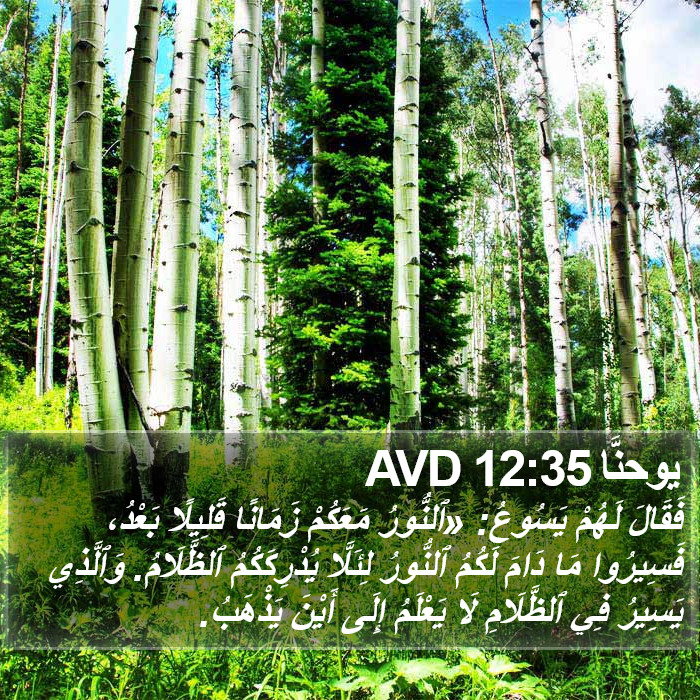 يوحنَّا 12:35 AVD Bible Study