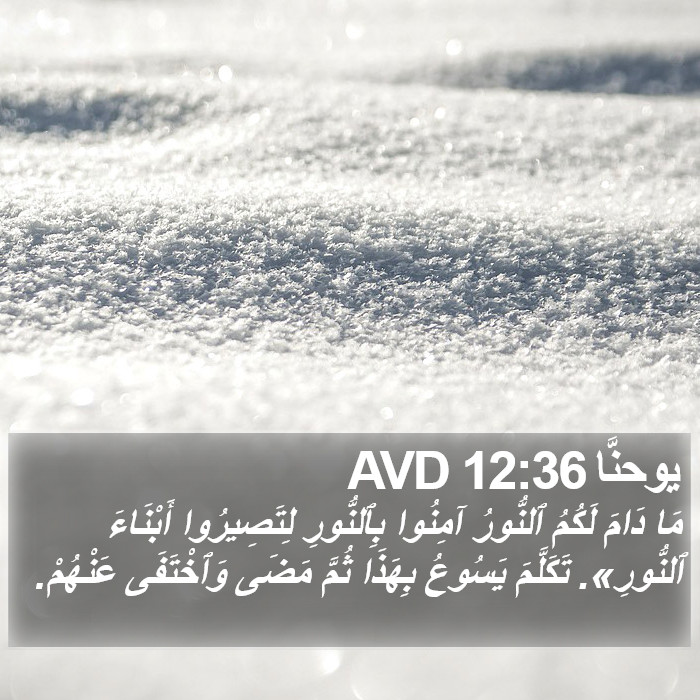 يوحنَّا 12:36 AVD Bible Study