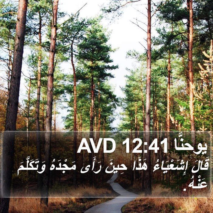 يوحنَّا 12:41 AVD Bible Study