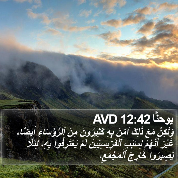 يوحنَّا 12:42 AVD Bible Study