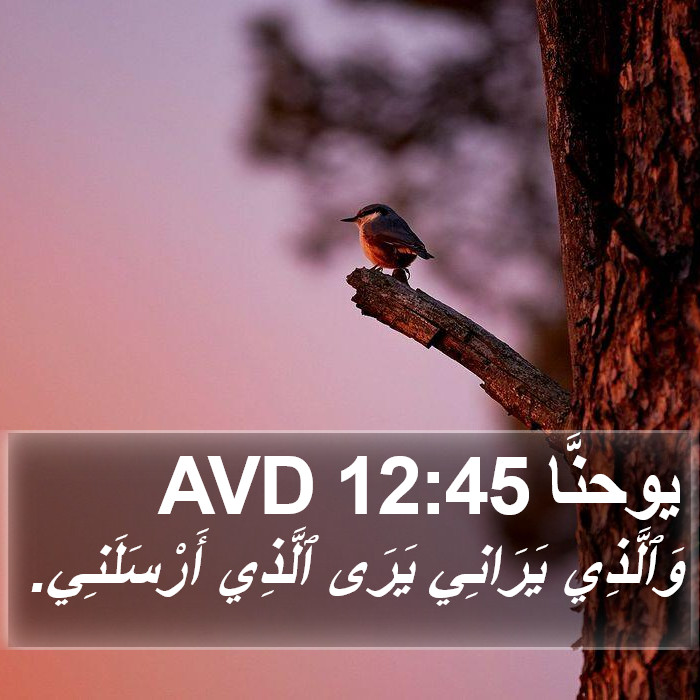 يوحنَّا 12:45 AVD Bible Study