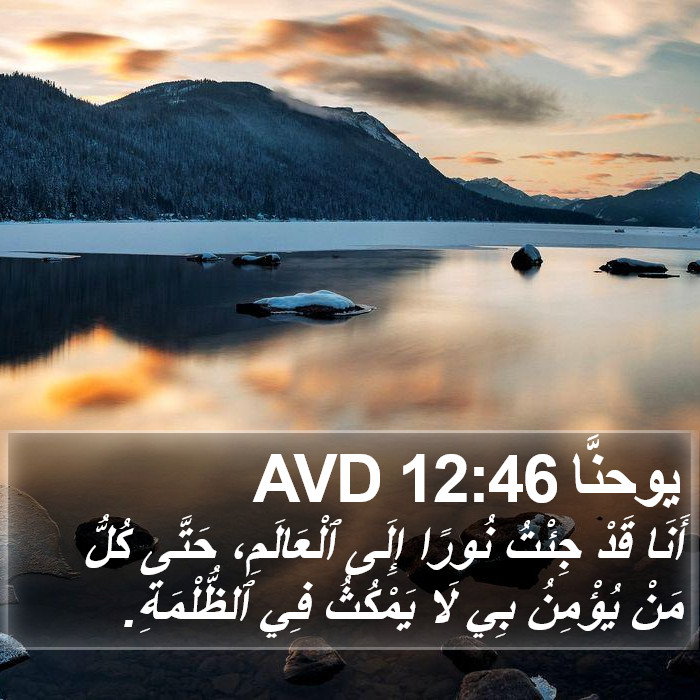 يوحنَّا 12:46 AVD Bible Study