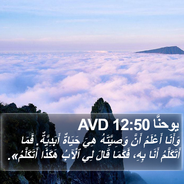يوحنَّا 12:50 AVD Bible Study