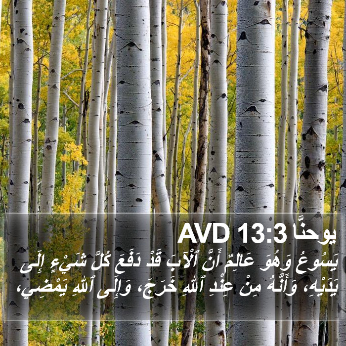 يوحنَّا 13:3 AVD Bible Study