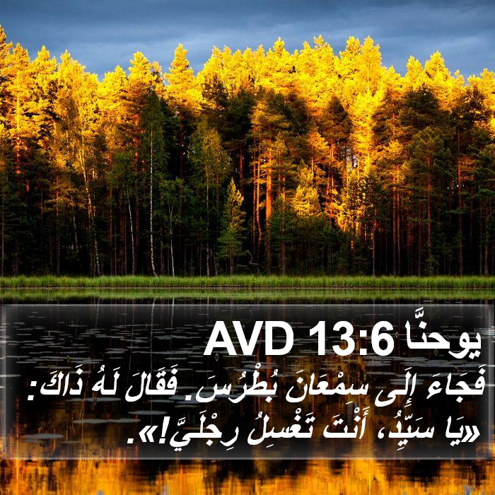 يوحنَّا 13:6 AVD Bible Study