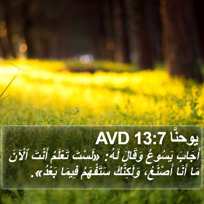 يوحنَّا 13:7 AVD Bible Study