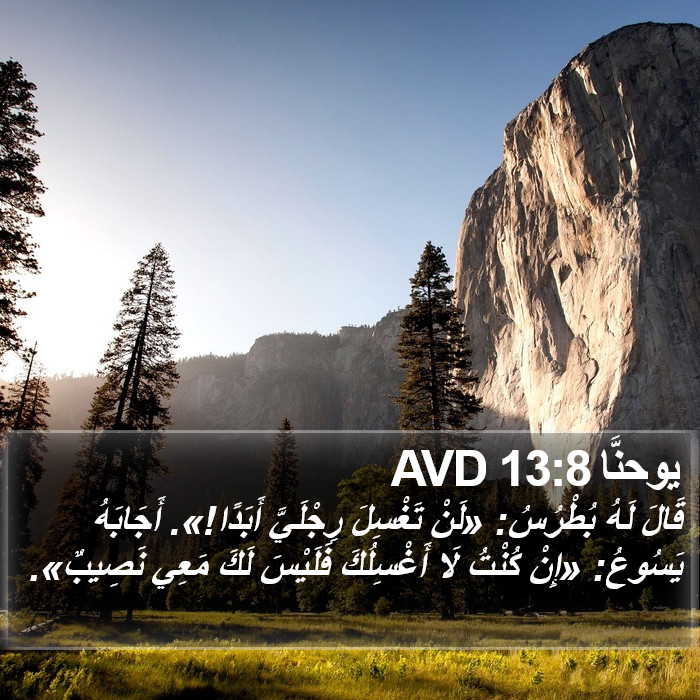 يوحنَّا 13:8 AVD Bible Study