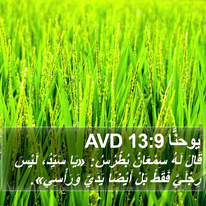 يوحنَّا 13:9 AVD Bible Study