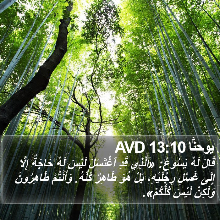 يوحنَّا 13:10 AVD Bible Study