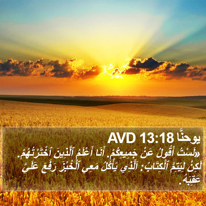 يوحنَّا 13:18 AVD Bible Study