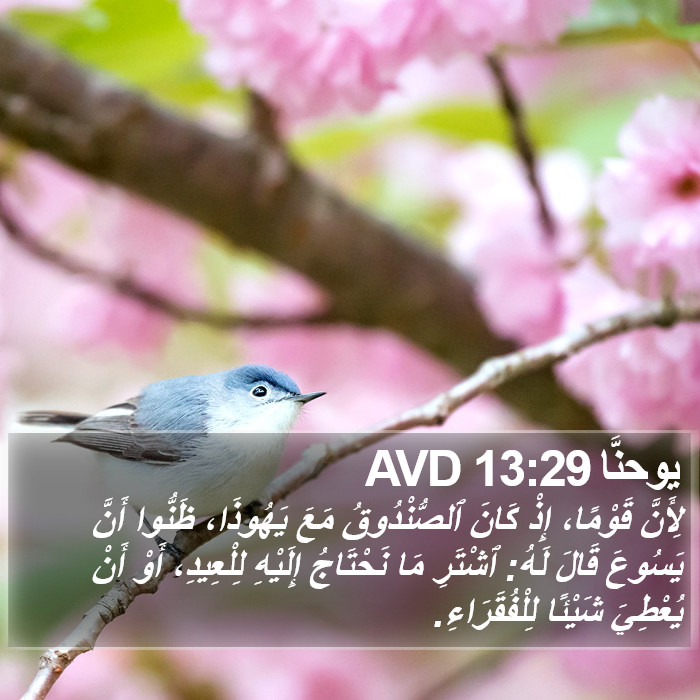 يوحنَّا 13:29 AVD Bible Study