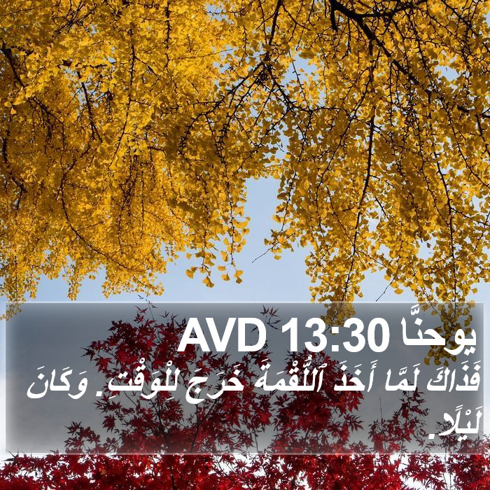 يوحنَّا 13:30 AVD Bible Study