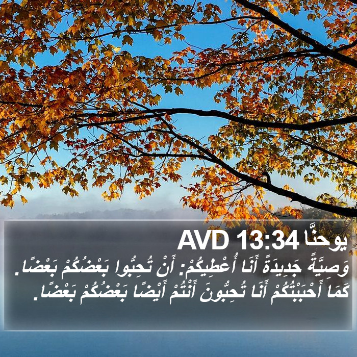 يوحنَّا 13:34 AVD Bible Study