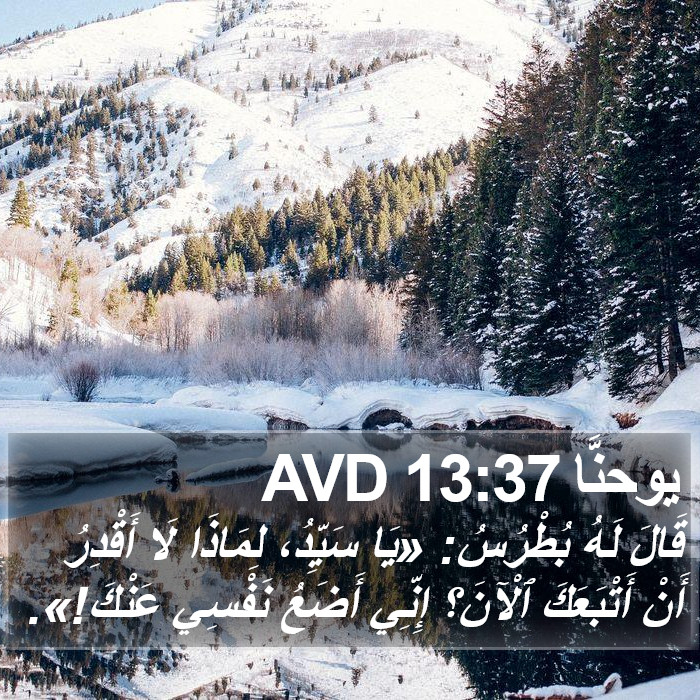 يوحنَّا 13:37 AVD Bible Study