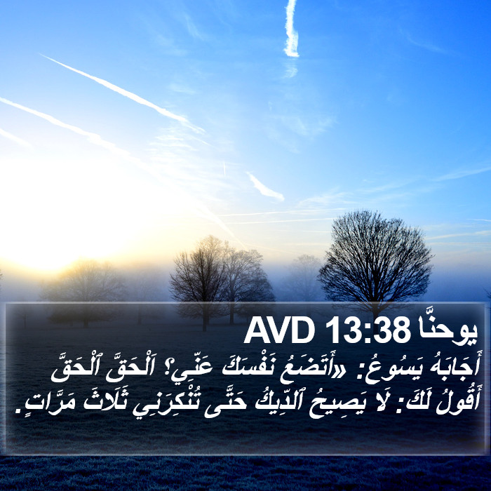 يوحنَّا 13:38 AVD Bible Study