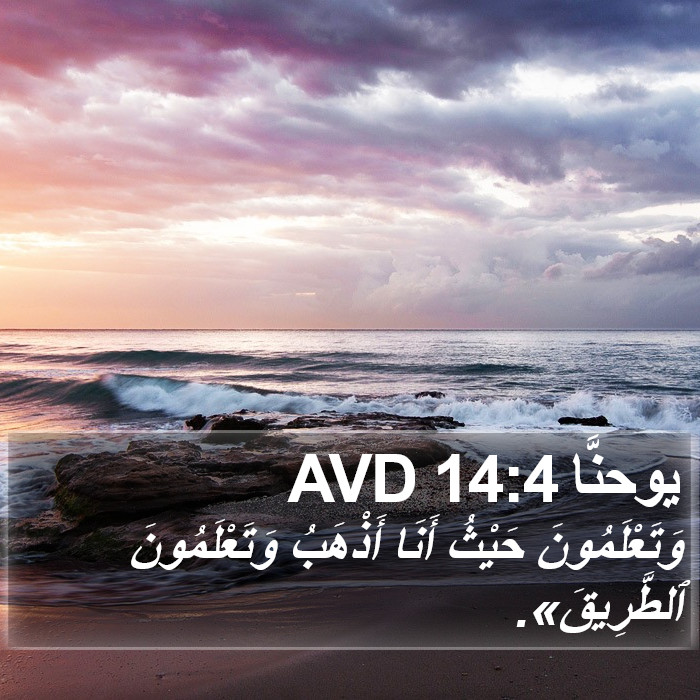 يوحنَّا 14:4 AVD Bible Study
