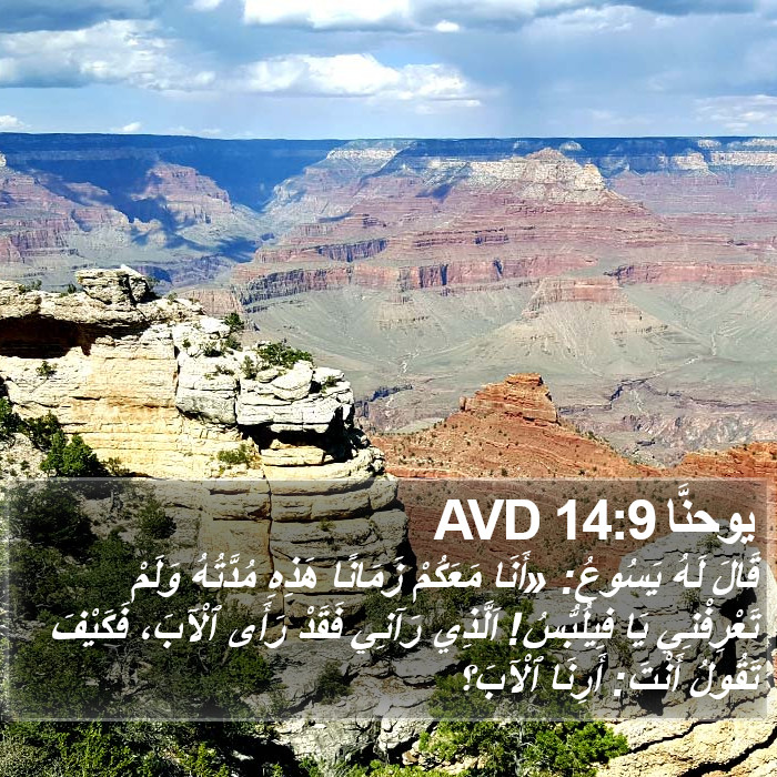 يوحنَّا 14:9 AVD Bible Study